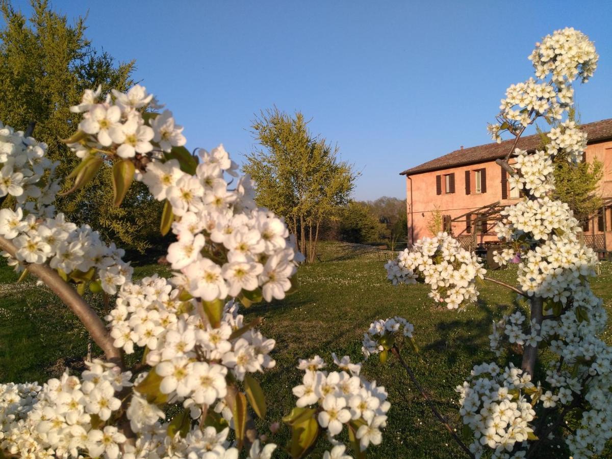 Agriturismo La Lenticchia Villa Fratta Terme Exterior foto